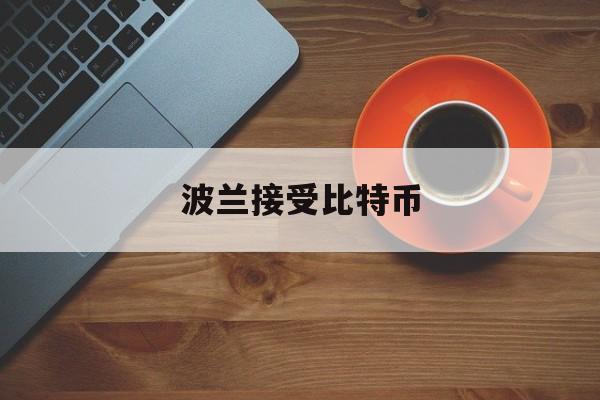 波兰接受比特币(波兰可以买比特币吗)